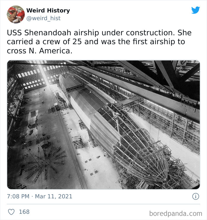 Interesting-Weird-History