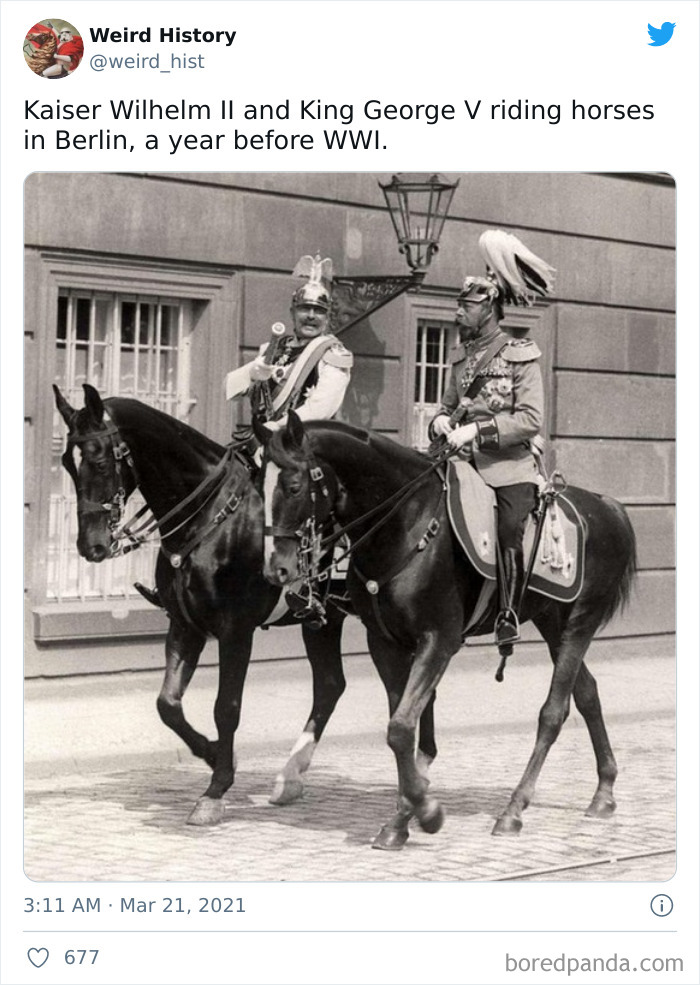 Interesting-Weird-History