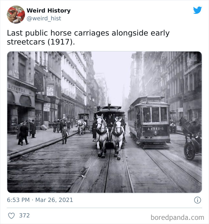 Interesting-Weird-History