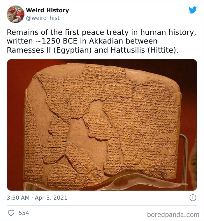 Interesting-Weird-History