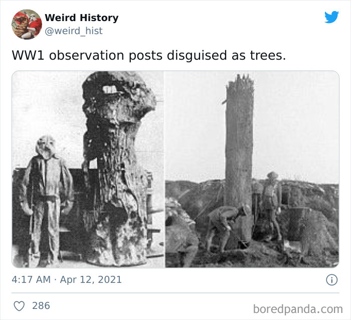 Interesting-Weird-History