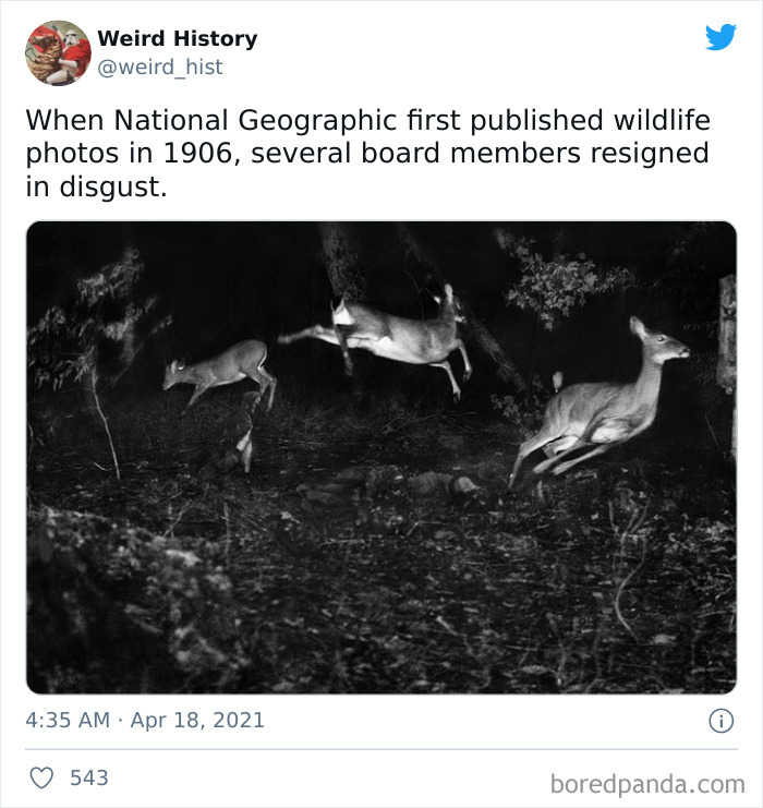 Interesting-Weird-History