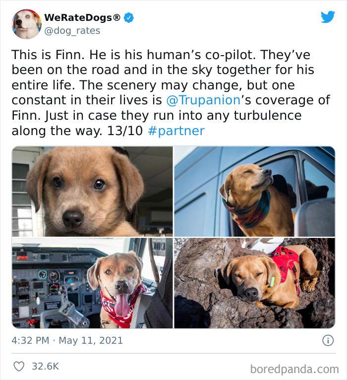 Dog-Rates-Twitter
