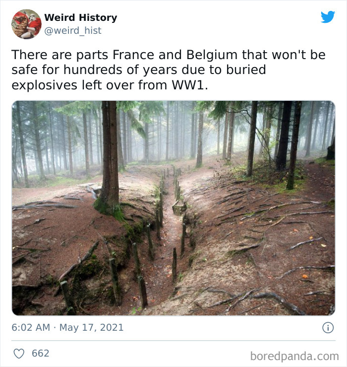 Interesting-Weird-History