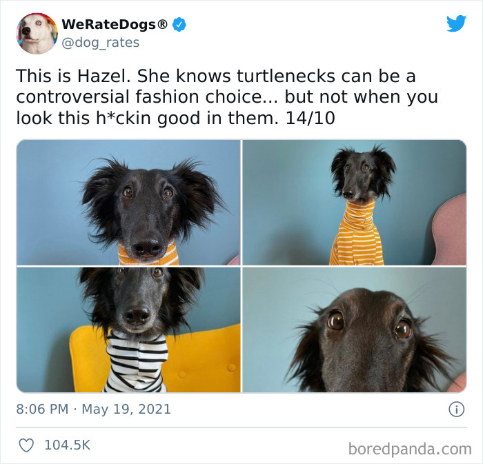 Dog-Rates-Twitter