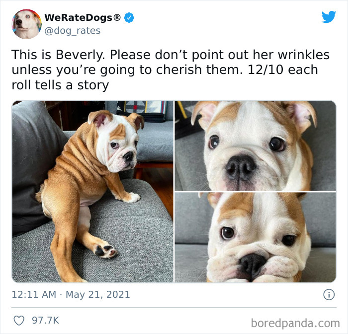 Dog-Rates-Twitter