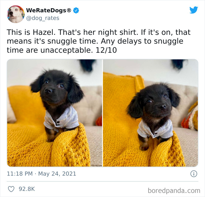 Dog-Rates-Twitter