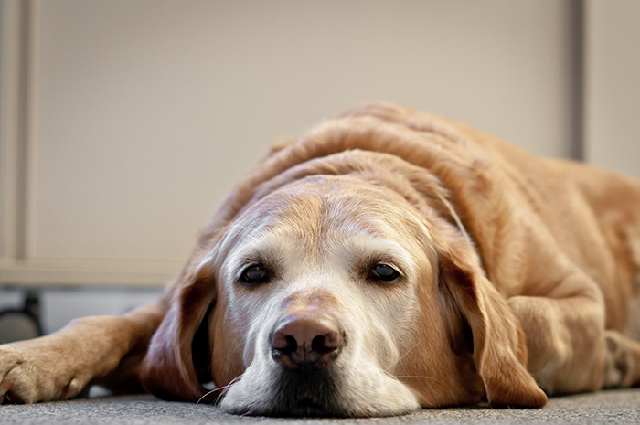 "I Don't Work Here, Lady": 30 Satisfying Stories Of Customers Reacting To Being Mistaken For Employees, Shared In This Online Group