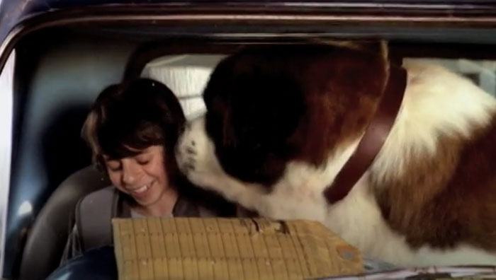 Someone Asked Folks On The Internet To Share What Movie Franchises, In Their Opinion, Should’ve Stopped At The 2nd Part And These Are 30 Of Their Best Answers