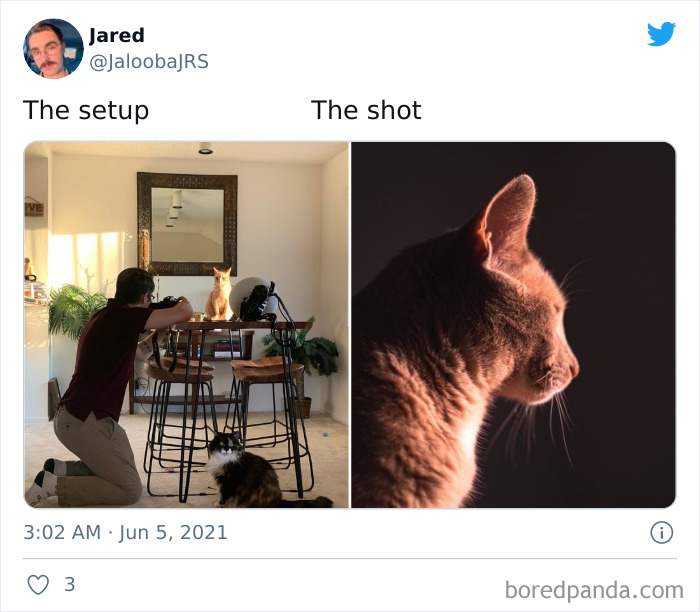 Photography-Setup-Shot-Result