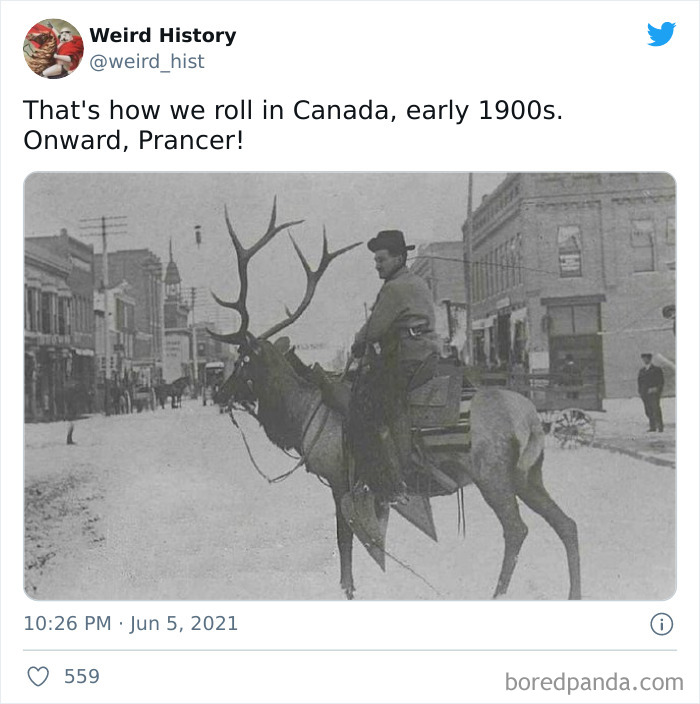Interesting-Weird-History