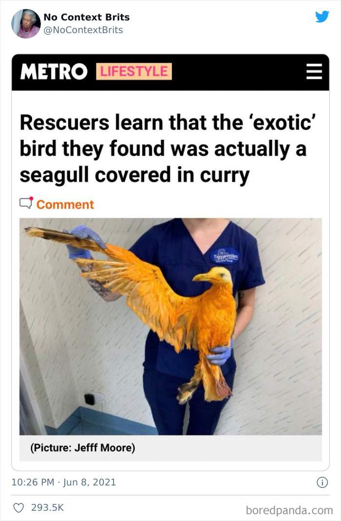 No-Context-British-Humour