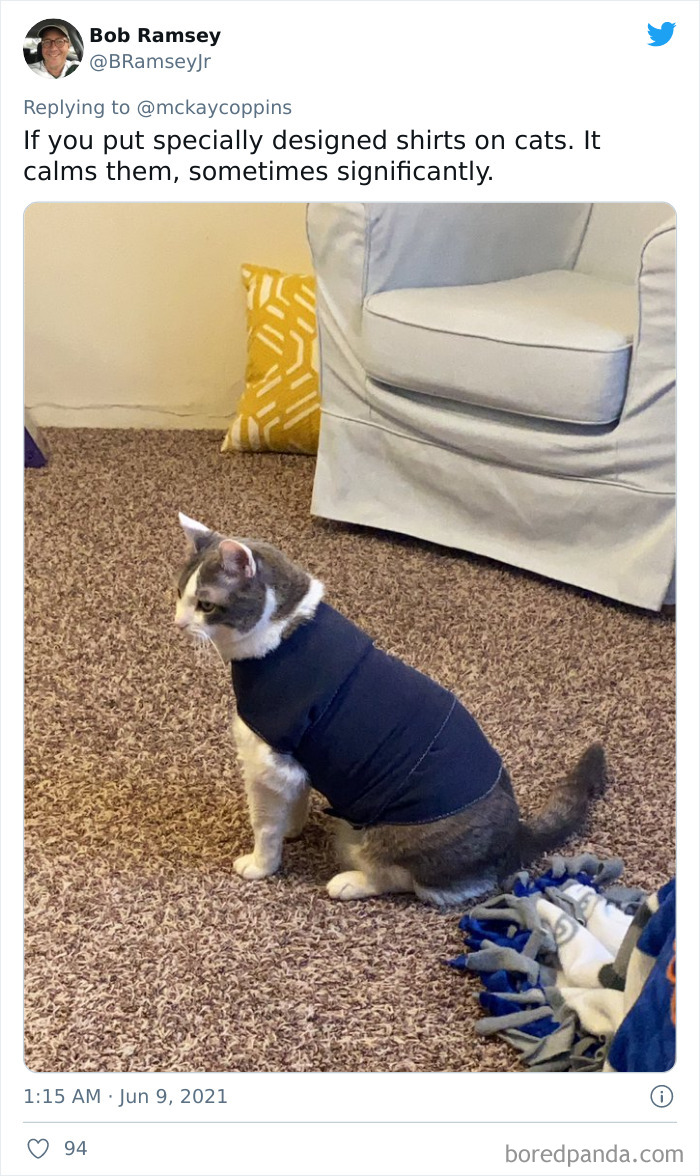 Father-Asks-Internet-Interesting-Facts-For-Children