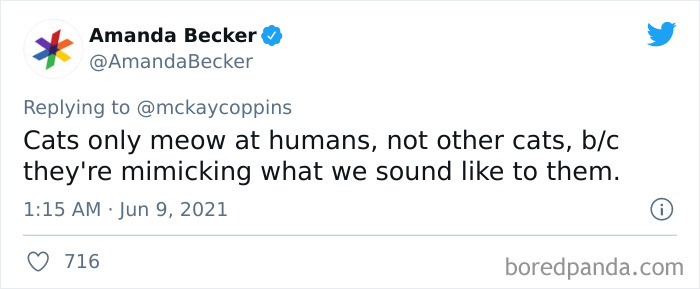 Father-Asks-Internet-Interesting-Facts-For-Children