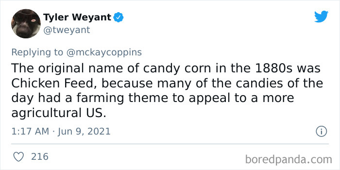 Father-Asks-Internet-Interesting-Facts-For-Children