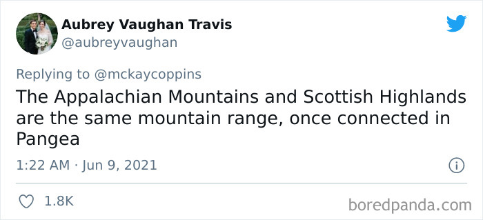 Father-Asks-Internet-Interesting-Facts-For-Children