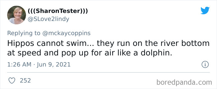 Father-Asks-Internet-Interesting-Facts-For-Children