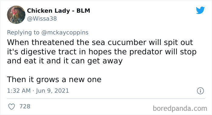 Father-Asks-Internet-Interesting-Facts-For-Children