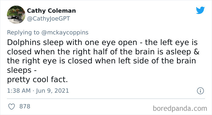 Father-Asks-Internet-Interesting-Facts-For-Children