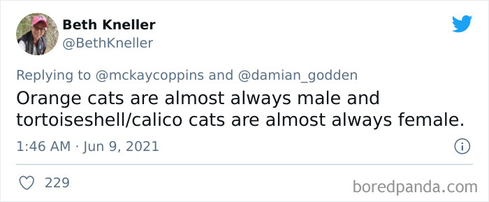 Father-Asks-Internet-Interesting-Facts-For-Children