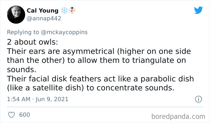 Father-Asks-Internet-Interesting-Facts-For-Children