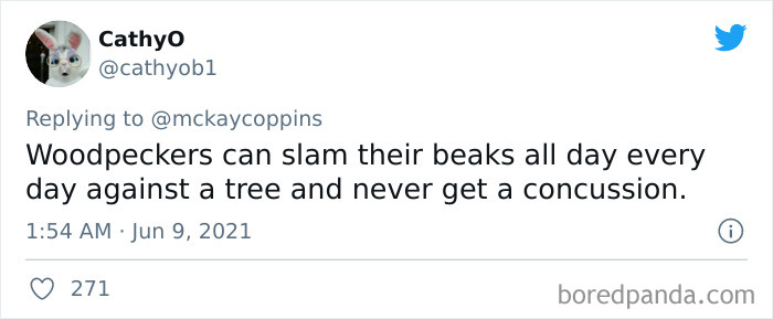 Father-Asks-Internet-Interesting-Facts-For-Children