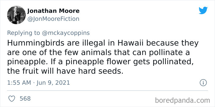 Father-Asks-Internet-Interesting-Facts-For-Children