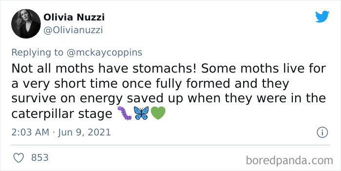 Father-Asks-Internet-Interesting-Facts-For-Children