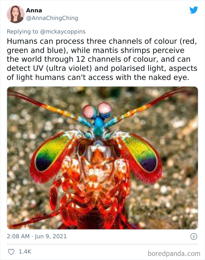 Father-Asks-Internet-Interesting-Facts-For-Children