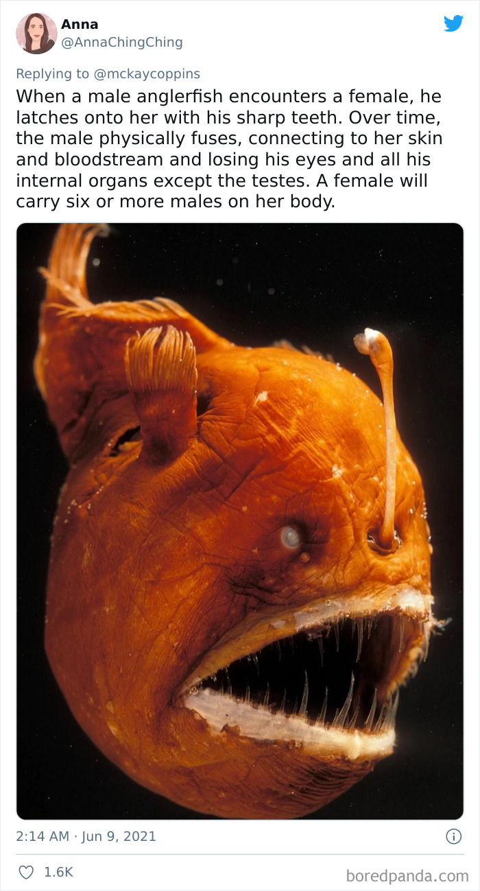 Father-Asks-Internet-Interesting-Facts-For-Children