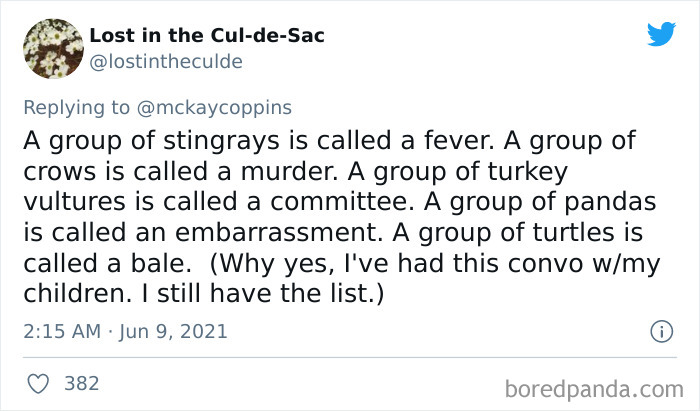 Father-Asks-Internet-Interesting-Facts-For-Children