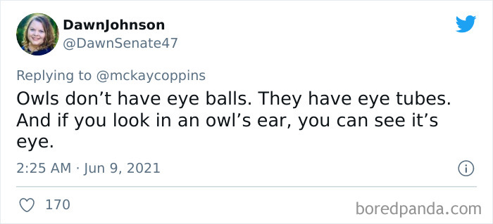 Father-Asks-Internet-Interesting-Facts-For-Children