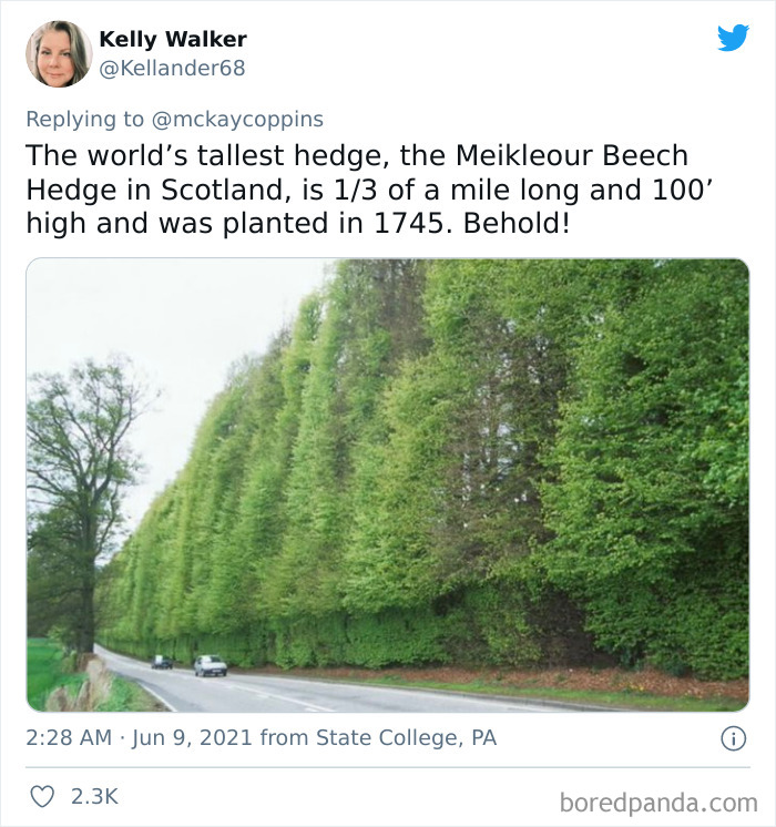 Father-Asks-Internet-Interesting-Facts-For-Children