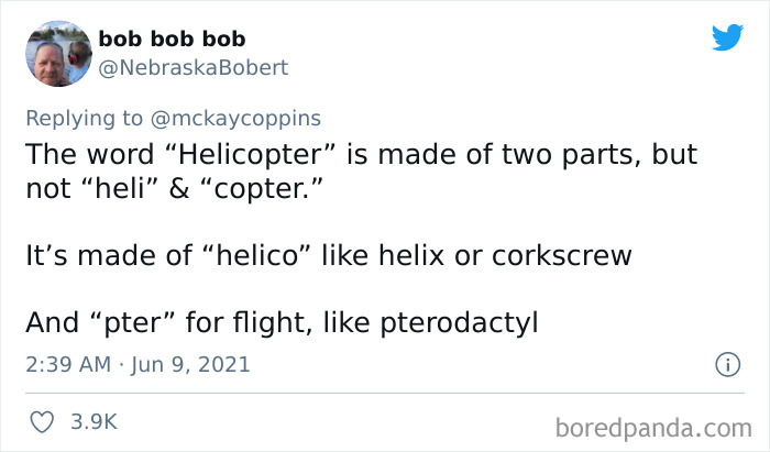 Father-Asks-Internet-Interesting-Facts-For-Children