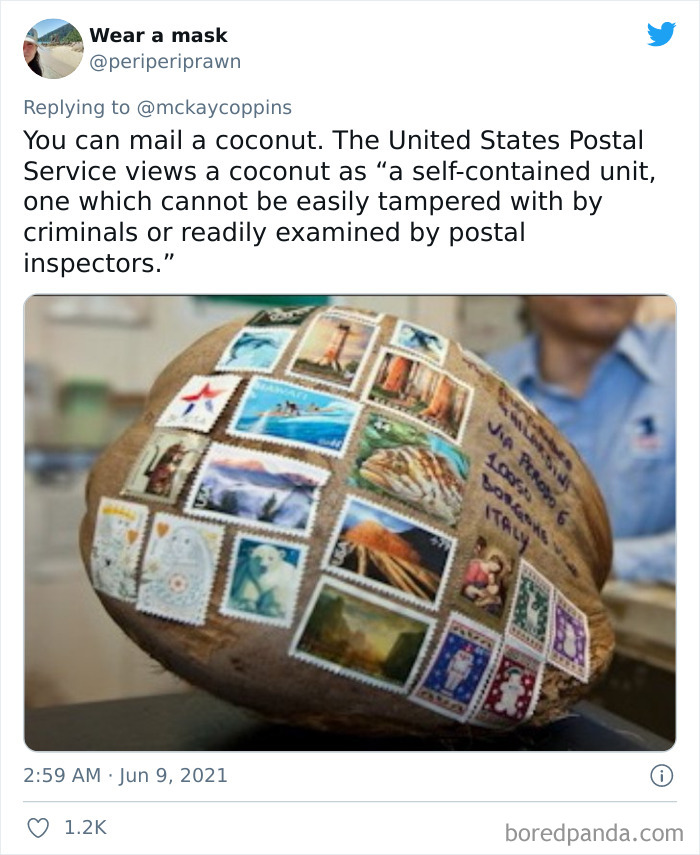 Father-Asks-Internet-Interesting-Facts-For-Children