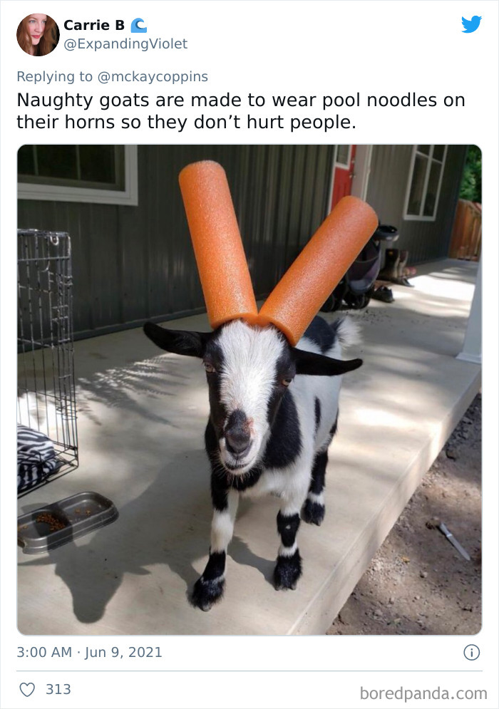 Father-Asks-Internet-Interesting-Facts-For-Children