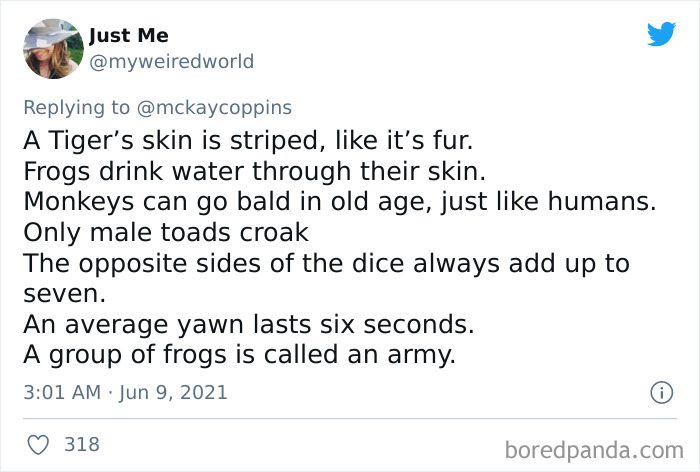 Father-Asks-Internet-Interesting-Facts-For-Children