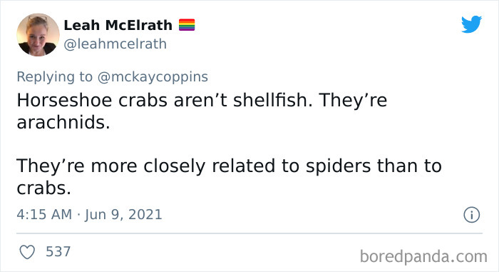 Father-Asks-Internet-Interesting-Facts-For-Children