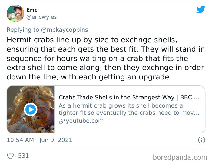 Father-Asks-Internet-Interesting-Facts-For-Children