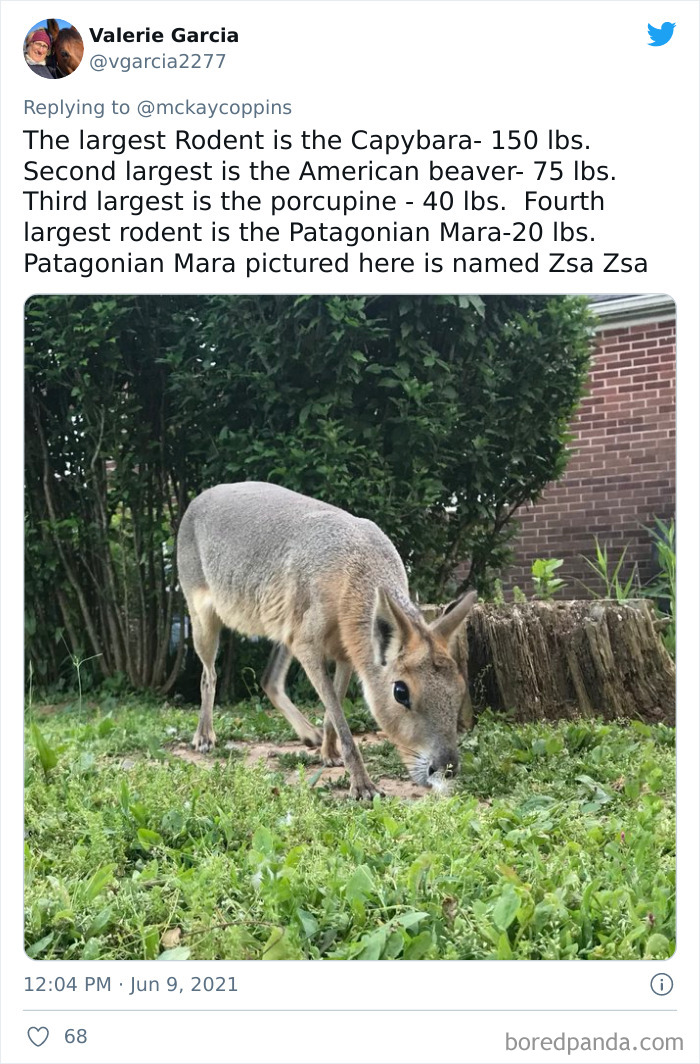 Father-Asks-Internet-Interesting-Facts-For-Children