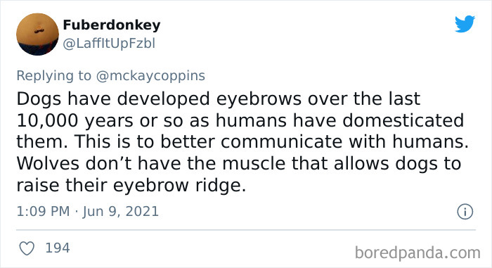 Father-Asks-Internet-Interesting-Facts-For-Children