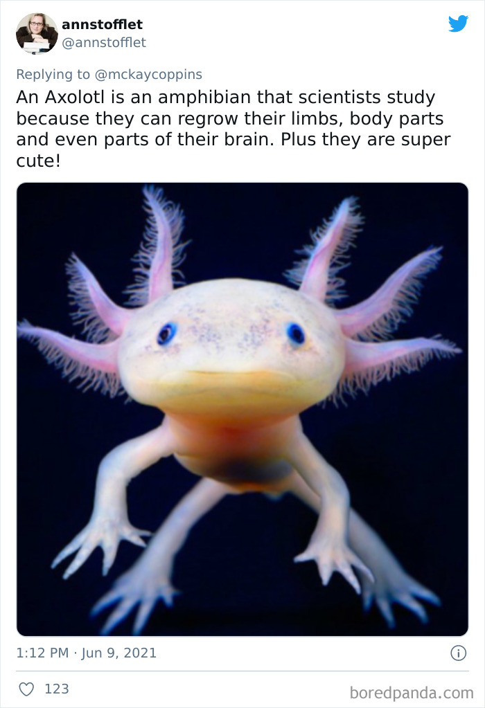 Father-Asks-Internet-Interesting-Facts-For-Children