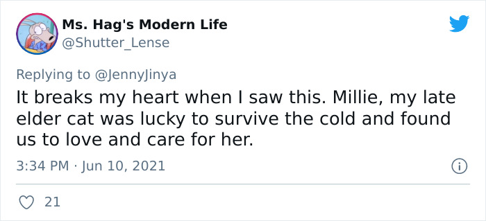 Artist Who Makes People Cry With Her Animal Comics Just Released A New Tragic One About A Freezing Dog Artist Who Makes People Cry With Her Animal Comics Just Released A New Tragic One About A Freezing Dog