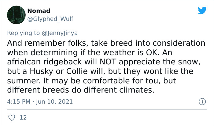 Artist Who Makes People Cry With Her Animal Comics Just Released A New Tragic One About A Freezing Dog Artist Who Makes People Cry With Her Animal Comics Just Released A New Tragic One About A Freezing Dog