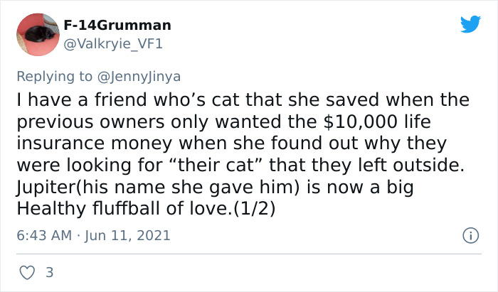 Artist Who Makes People Cry With Her Animal Comics Just Released A New Tragic One About A Freezing Dog Artist Who Makes People Cry With Her Animal Comics Just Released A New Tragic One About A Freezing Dog