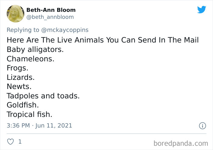 Father-Asks-Internet-Interesting-Facts-For-Children