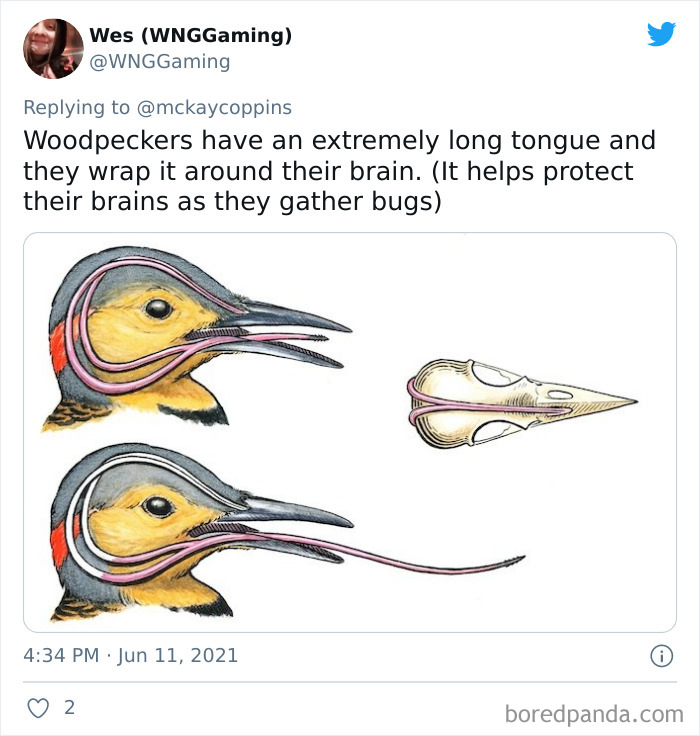 Father-Asks-Internet-Interesting-Facts-For-Children