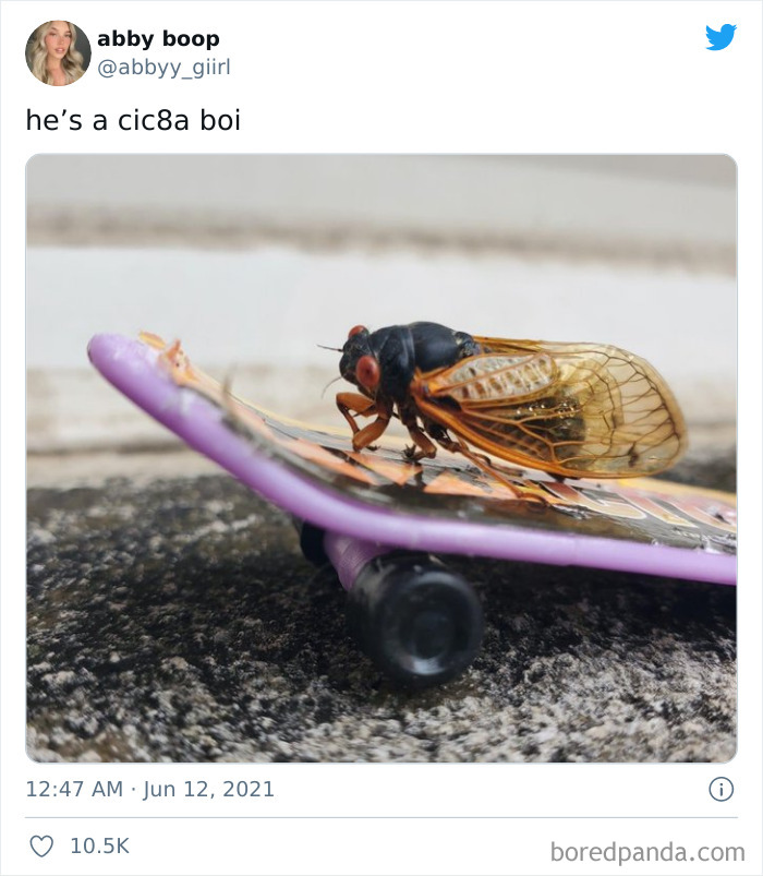 It Was A Big Hit 17 Years Ago!