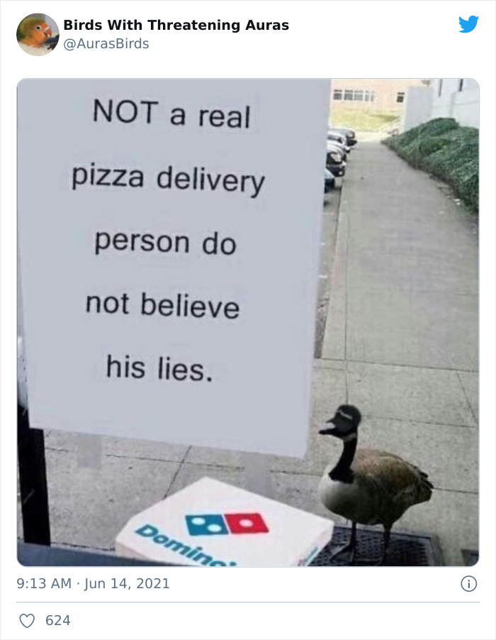 Birds-With-Threatening-Auras