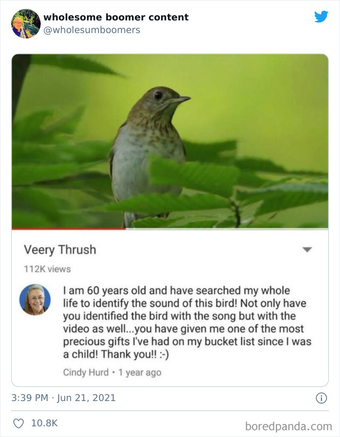 Wholesome-Boomer-Content